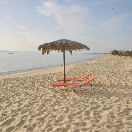 Prázdninový dům Naxos House, One Minute Away From The Beach!