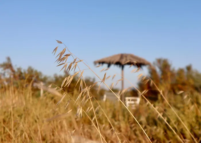 Naxos House, One Minute Away From The Beach! *